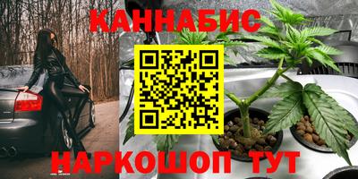 прущие крисы Будённовск