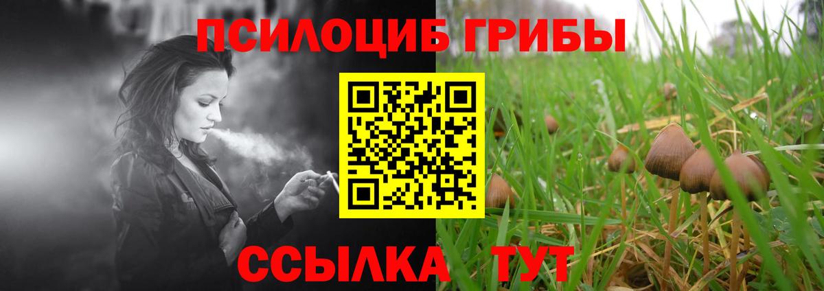 Галлюциногенные грибы Psilocybine cubensis Костомукша
